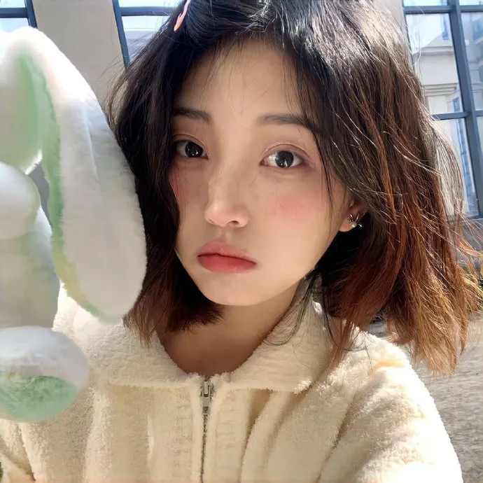 鸳鸯蝴蝶免费观看电视剧