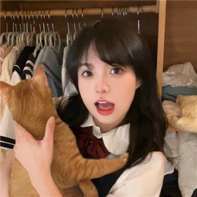 最近2018在线观看免费高清电视剧